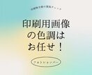 ネット印刷手配前の配置画像を適正に色補正します ネット印刷の色調不安おたすけします イメージ3