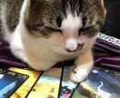 タロット、ペンデュラムを用いてあなたを占います さあ、前を向いて歩き出す 最初の一歩をここから!! イメージ3
