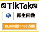 Tiktokの再生回数 10,000回増加させます 独自の宣伝方法で再生回数10,000回増えるまで拡散します！ イメージ1