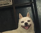 あなたの自己肯定感を上げます 話を聴いてとにかく褒めちぎります イメージ10