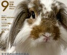 うちの子が主役＊雑誌風アート作ります うちの子が、表紙モデルになる日！？ イメージ4