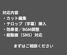 動画編集｜顔出し不要・カット＆テロップ対応ます SNS向け動画を見やすく丁寧に編集します イメージ2