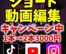 ショート動画【先着3名限定】格安で編集します 【編集業界に復帰キャンペーン実施中！！】 イメージ1