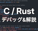 C/Rustのエラーやバグの解消をお手伝いします セグフォや所有権エラーなどの原因特定から丁寧にサポートします イメージ1