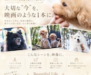 出張撮影｜わんちゃん・ペットの撮影いたします 魅力を伝えるシネマティック動画制作｜プロの撮影＆編集 イメージ3