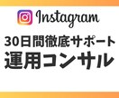 モニター様募集☆1ヶ月インスタ運用コンサルします インスタアカウントのサポート実績あり! イメージ1