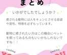 動物好き必見！！のデザインを提供致します 動物の特徴や習性を短く簡潔にまとめました イメージ6