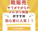 副業メルカリ 靴販売で稼ぐ最新ノウハウを公開します ヤフオクでの仕入方法 利益高い狙い目ブランド 販売方法を解説 イメージ1