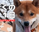 動画編集者がYouTubeサムネイル制作します 迅速・丁寧｜見やすいサムネイルを作成 イメージ5