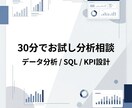 データ分析とSQLの悩みを30分で整理します 博士卒・現役メガベンチャーアナリストが初回価格で対応 イメージ1