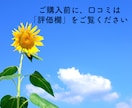 これから結婚相談所を始めたい仲人さんの相談乗ります 【これから結婚相談所を始めたい・仲人の仕事を知りたい方向け】 イメージ9
