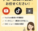 日本語⇔中国語の通訳•翻訳をいたします 中国語ネイティブが丁寧・迅速に対応します イメージ4