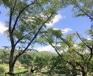 HSP等の心の疲れ聴き取ります 日常生活で疲れてる方にHSPならではの対応で接します！ イメージ1