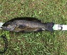 これから釣りを始める方の相談乗ります 釣りをしたいけど何から始めればいいか分からない方必見! イメージ8
