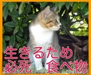 生きていれば下の世話も必要です。躾け方探します 良きパートナーになる為には、正しい接し方を学びましょう。 イメージ1