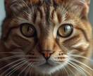 ペットの気持ちを霊視 天国からの言葉をお伝えします 突然の家族とのさよならに心がつぶされそうになっていませんか イメージ6