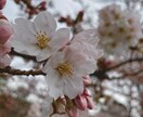写真をエモく加工します エモい画像でSNSのフォロワー爆上げ！ イメージ2