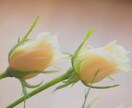 話し相手します 話を聞いてほしいとか話し相手してほしい等可能です(*^^*) イメージ1
