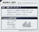 Instagram運用の戦略設計をプロが作ります ビデオチャットで相談しながらアカウント土台を整えます！ イメージ5