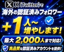 Twitter拡散！認証済みフォロワー増やします X(ツイッター)認証済みフォロワー【最大2000人まで対応】 イメージ10