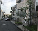お庭のお悩み解決致します 資格一級造園技能士一級造園施工管理技士職業訓練指導員造園科 イメージ2