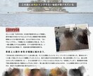 いい感じのフライヤーつくります ▶︎お店のイメージを視覚的に伝えます！ イメージ2