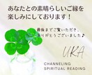 もふもふ毛布のほめ言葉♡魂喜ぶ暖かさで癒します 愚痴・悩みを受け止め＜あなただけの美点長所＞をチャネリング イメージ7