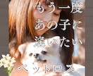 もう一度抱きしめて伝えたい！別れの辛さ寄り添います ペットロス/別れ/後悔/グリーフケア/ロス経験者/心理資格有 イメージ1