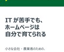 WP歴20年｜記事入稿・更新＋サイト診断します Kindle著者・テーマ開発者が診断 イメージ1
