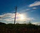 ご依頼に応じた写真撮影＋編集をします 安く!写真を使ってデザインしたい時!うまく決まらない時に! イメージ3