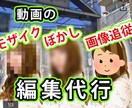 動画編集(モザイク、ブラー、カット)致します 面倒な作業、丸投げしてみませんか？ イメージ1