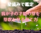 星読みでお子様の才能の種・考え方の傾向鑑定します ​【お試し価格】星占いで見る我が子の才能の種の芽吹かせ方 イメージ1