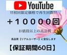 １分以上！YouTube動画＋１００００回します ⭐️再生回数＋１００００回増えるまでアプローチ⭐️ イメージ1