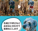 お好みに合わせた画像加工します 想い出の写真を美しく修正します！ イメージ1
