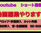 動画編集代行します youtubeやショート動画など、動画編集を請け負います！ イメージ1