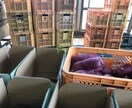 農作物・農作業の写真を撮ります 農家だからこそ撮れる風景をお届けします。 イメージ4