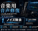 崩れた音楽トラックを可能な限り修復・調整します ノイズ除去・リバーブ除去など、録音素材を修復します。 イメージ1