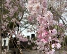 未亡人のお話し聞きます 喪失の痛みに寄り添い、ひとりじゃないと感じてほしい♡ イメージ4