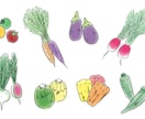 野菜や植物、料理のスケッチ風イラスト描きます メニュー表やパンフ等の挿絵にぴったりな植物・食べ物スケッチ イメージ4
