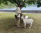 済公霊籤を使った占いを提供します 人生の悩み・岐路にあるあなたへ。 イメージ10