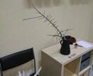 英作文添削（高校/大学入試レベル）します 現役塾講師/英文科卒/W杯逐次通訳/欧州留学2か国 イメージ1
