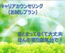 お試しキャリアカウンセリング　いたします 初めての方に、お試し価格でお悩みの整理のお手伝いします イメージ1