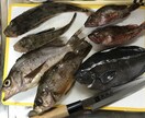 釣り場教えます 海釣り、川釣のポイント、各種魚類別 イメージ6