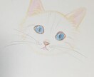 水彩鉛筆で似顔絵を描きます 結婚式や誕生日などお祝いごとのプレゼントに イメージ2
