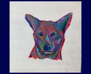 ポップでカラフルな似顔絵描きます 十人十色の色を独特の色使いで表現いたします♬ イメージ7