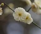 お悩み相談や雑談をします 悩み相談や雑談など何でもお話お聞きします！ イメージ1