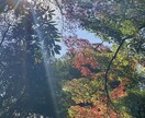 迷えるあなたの未来を導きます 一問一答宇宙エネルギーで今あなたに必要な言葉を送ります イメージ5