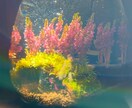 初心者向け！初めてのアクアリウムをサポートします 初めてでも安心の１か月相談し放題 イメージ1