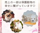 好きな人のタイプや相性が良い人が知りたい✨占います 質問2つ❣️久しぶりの恋愛やアプリなど恋活/婚活を応援♡ イメージ2
