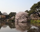 あなたの心に残るフォトをお届けします 自然体を生かし、一枚の写真で人の心を動かす写真家 イメージ9